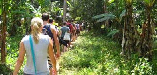 Time 4 Zanzibar Tours and Safaris